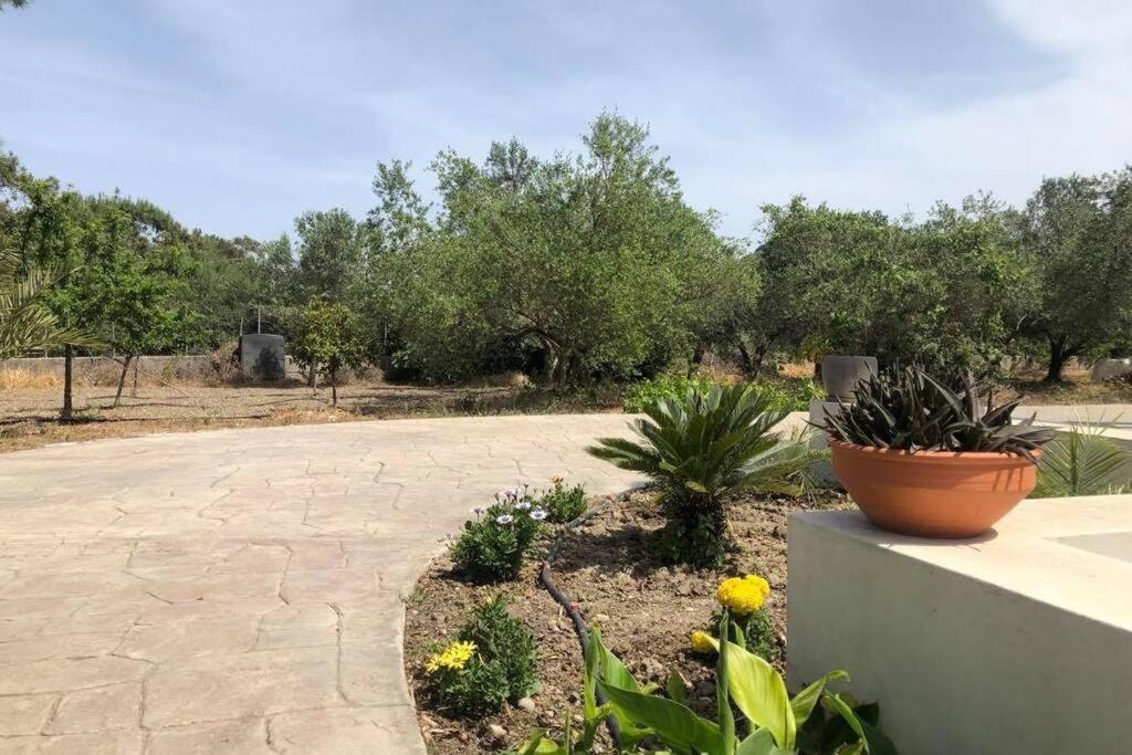 יאליסוס Fiore Di Rodi - Private Pool, Jacuzzi And Barbecue מראה חיצוני תמונה