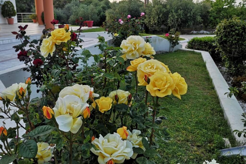 יאליסוס Fiore Di Rodi - Private Pool, Jacuzzi And Barbecue מראה חיצוני תמונה